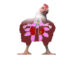 Understanding the Respiratory Issues in Poultry Birds